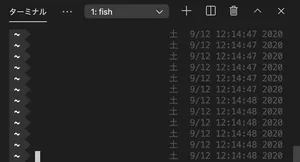 VSCodeのカメラ，動かないよ